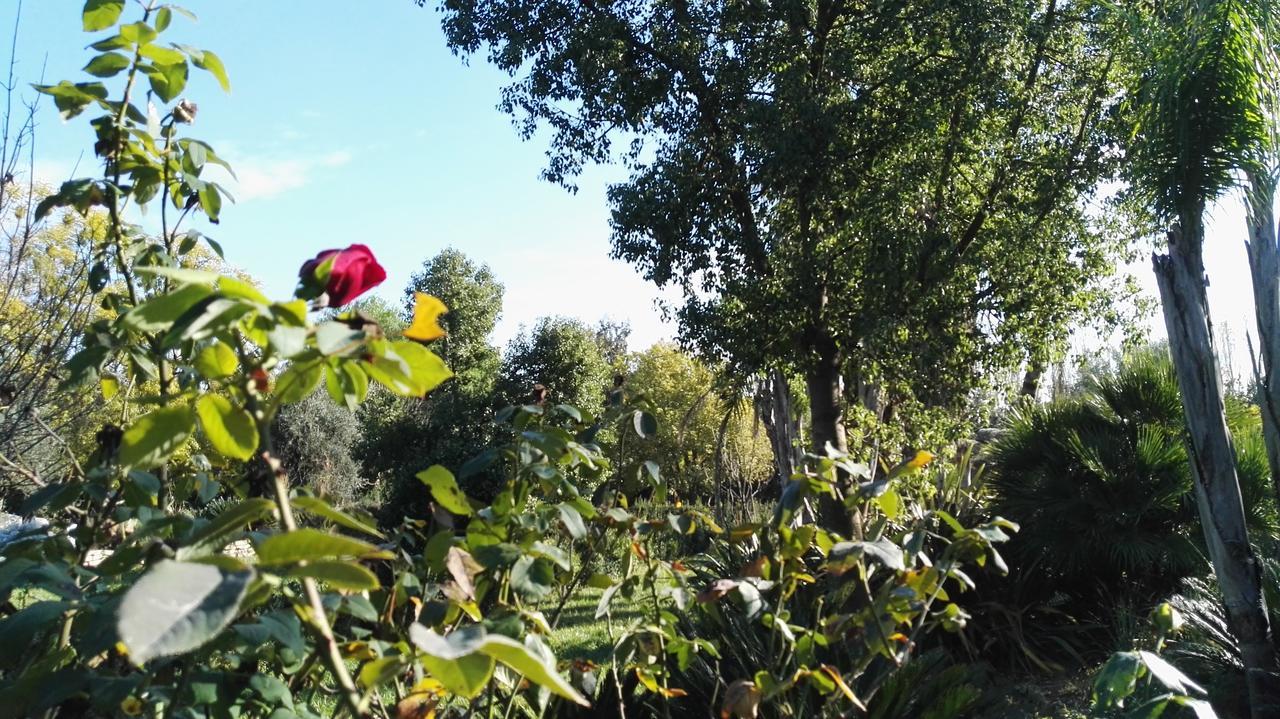 הוילה Sezze Tenuta Le Pantanelle מראה חיצוני תמונה