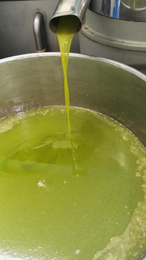 הוילה Sezze Tenuta Le Pantanelle מראה חיצוני תמונה